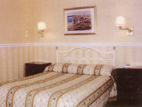 Eurobar Cafe & Hotel