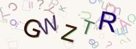 This is a captcha-picture. It is used to prevent mass-access by robots. (see: www.captcha.net)