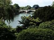 BINGHAM HOTEL-RICHMOND
